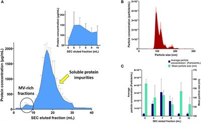 Streptococcal Extracellular Membrane Vesicles Are Rapidly Internalized by Immune Cells and Alter Their Cytokine Release